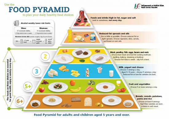 picture Food Pyramid Pdf 133172 | Food Pyramid
