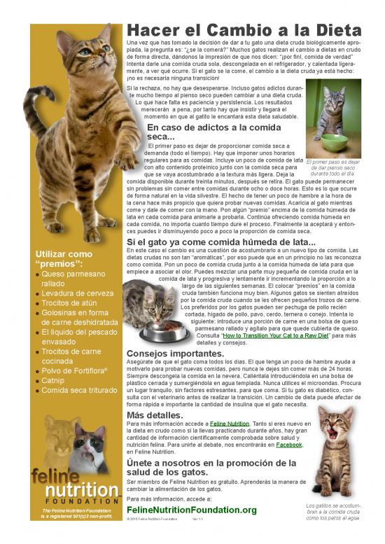 picture_Transitioning To A Raw Diet Spanish A4