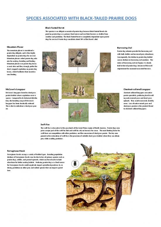 picture Mountain Dog Diet Pdf 139217 | Fseprd538627
