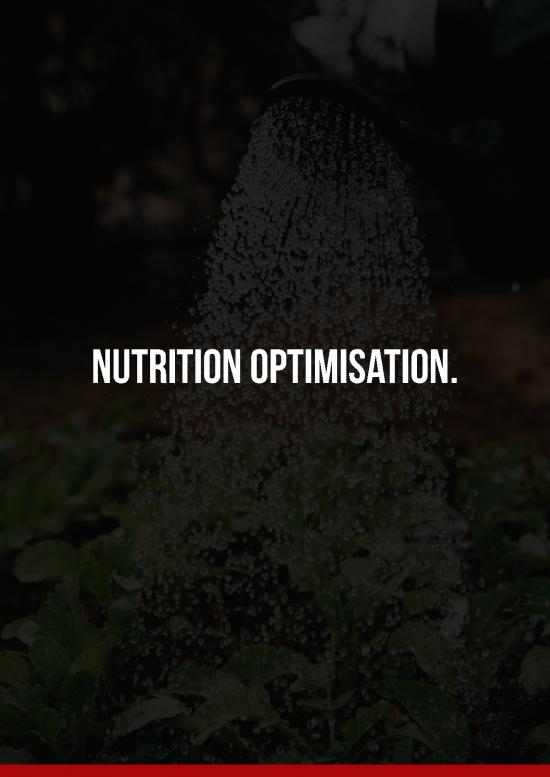 picture1_Nutrition Therapy Pdf 138839 | Nutrition Optimisatio