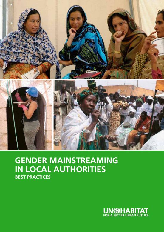 picture_Gender Mainstreaming In Local Authorities