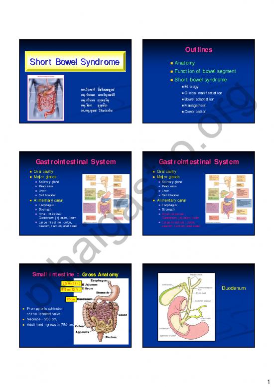 picture_Shortbowel