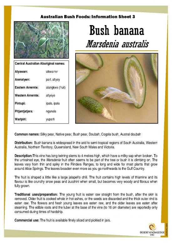picture_Dkcrc Bush Food Is 3 Bush Banana July09