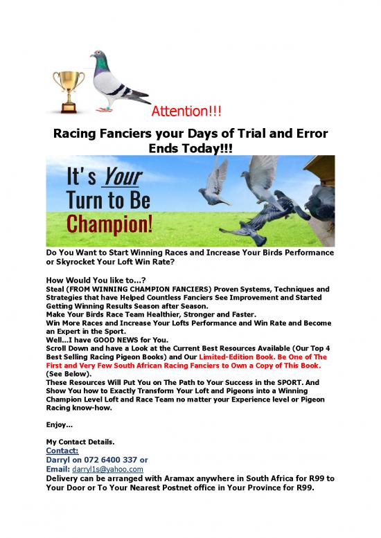 picture1_Attention Pigeonz 19f9ed