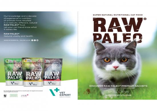 picture1_Nutrition Facts Pdf Template 150625 | Raw Paleo Katze Study Case