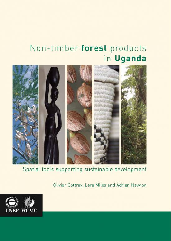 picture_Forest Pdf 158929 | 5949 Item Download 2023-01-20 17-48-02