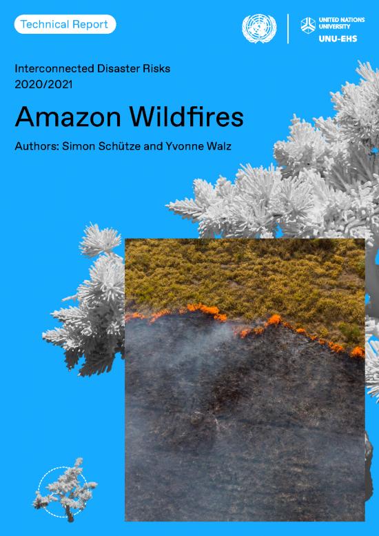 picture_Forest Pdf 159145 | Amazon Wildfires Technicalreport 210907
