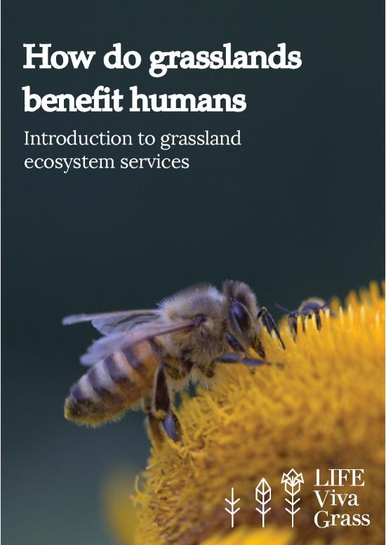 picture_Grassland Ecosystem Pdf 160938 | Broshure Final How Grasslands Benefit Human Introduction To Grassland Ecosystem Services Download