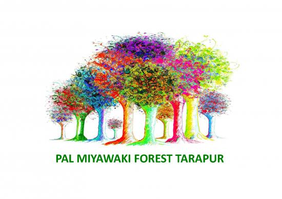 picture1_Forest Pdf 159483 | Csr Pal Miyawaki Forest