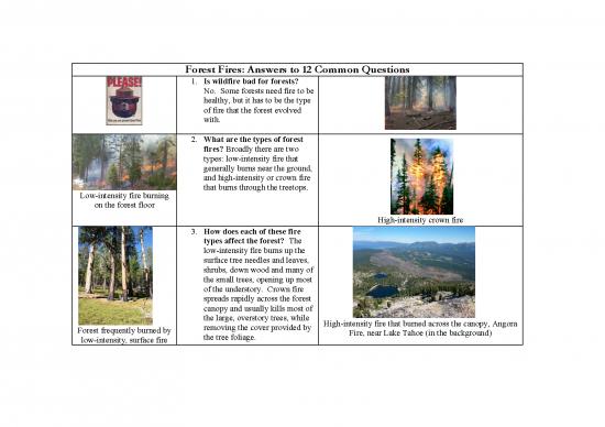 picture_Forest Pdf 159082 | Forest Fires Answers To 12 Common Questions 2
