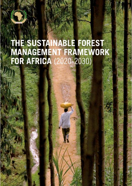 picture1_Forest Pdf 159108 | Sfm Framework En Lowres 02
