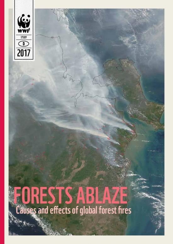 picture_Forest Pdf 159504 | Wwf Study Forests Ablaze