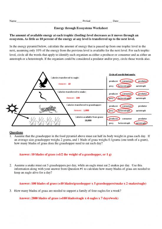 picture_Energy Through An Ecosystem Worksheet As