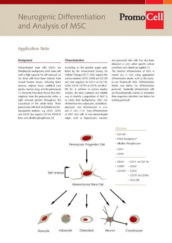 picture_Differentiation Pdf 170671 | Neurogenic Differentiation And Analysis Of Msc 1