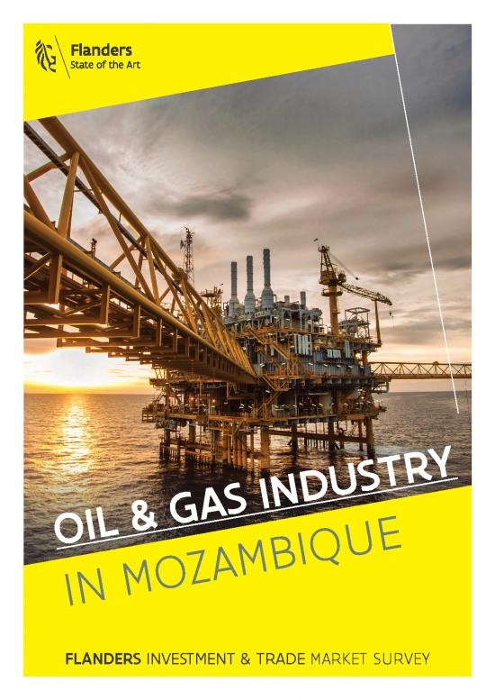 picture_Oil Pdf 177318 | 2021 Mozambique Oil Gas Sector