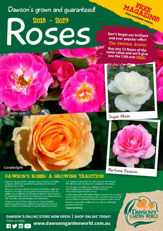picture_Daw000442 Rose Gardener 2018 Web Hr