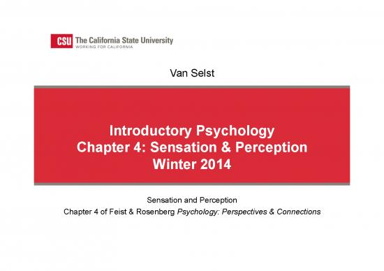 picture_Chapter4sensationperception