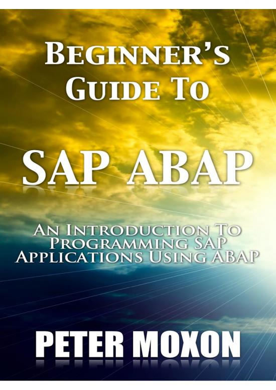 picture Sap Abap Programming Examples Pdf 191544 | Beginner&rsquo;s Guide To Sap Abap Sample