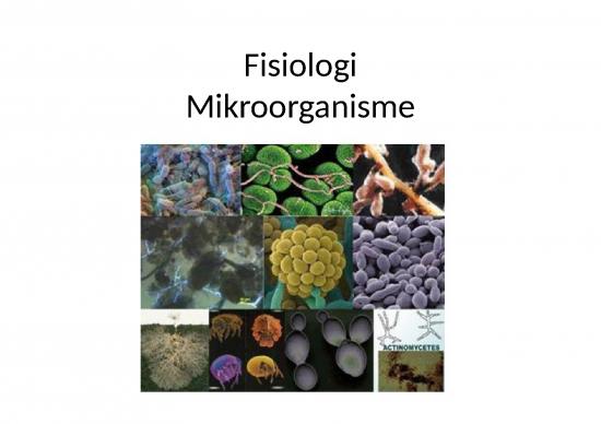 picture_Fisiologi Mikroba