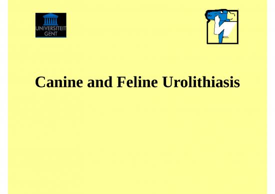 picture_Building Slides In Powerpoint 23851 | Urolithiasis