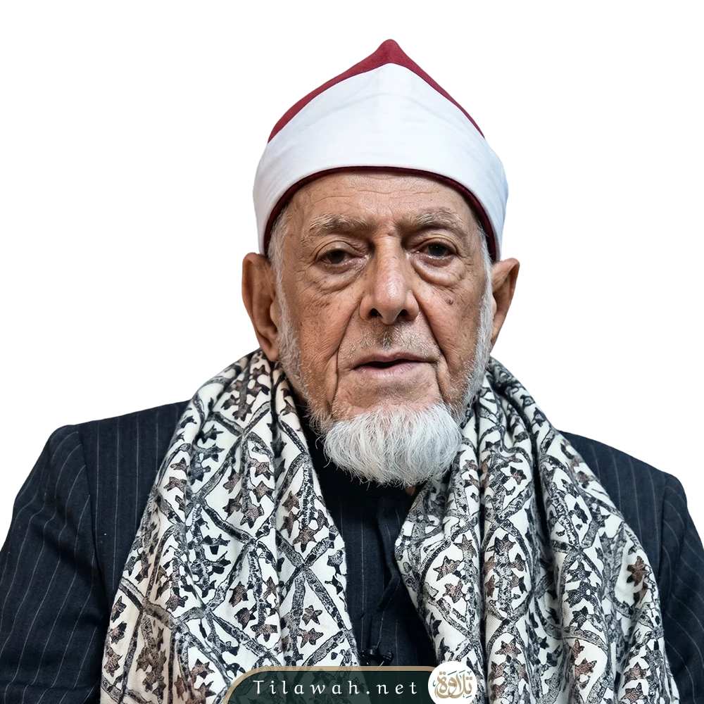 أحمد محمد عامر