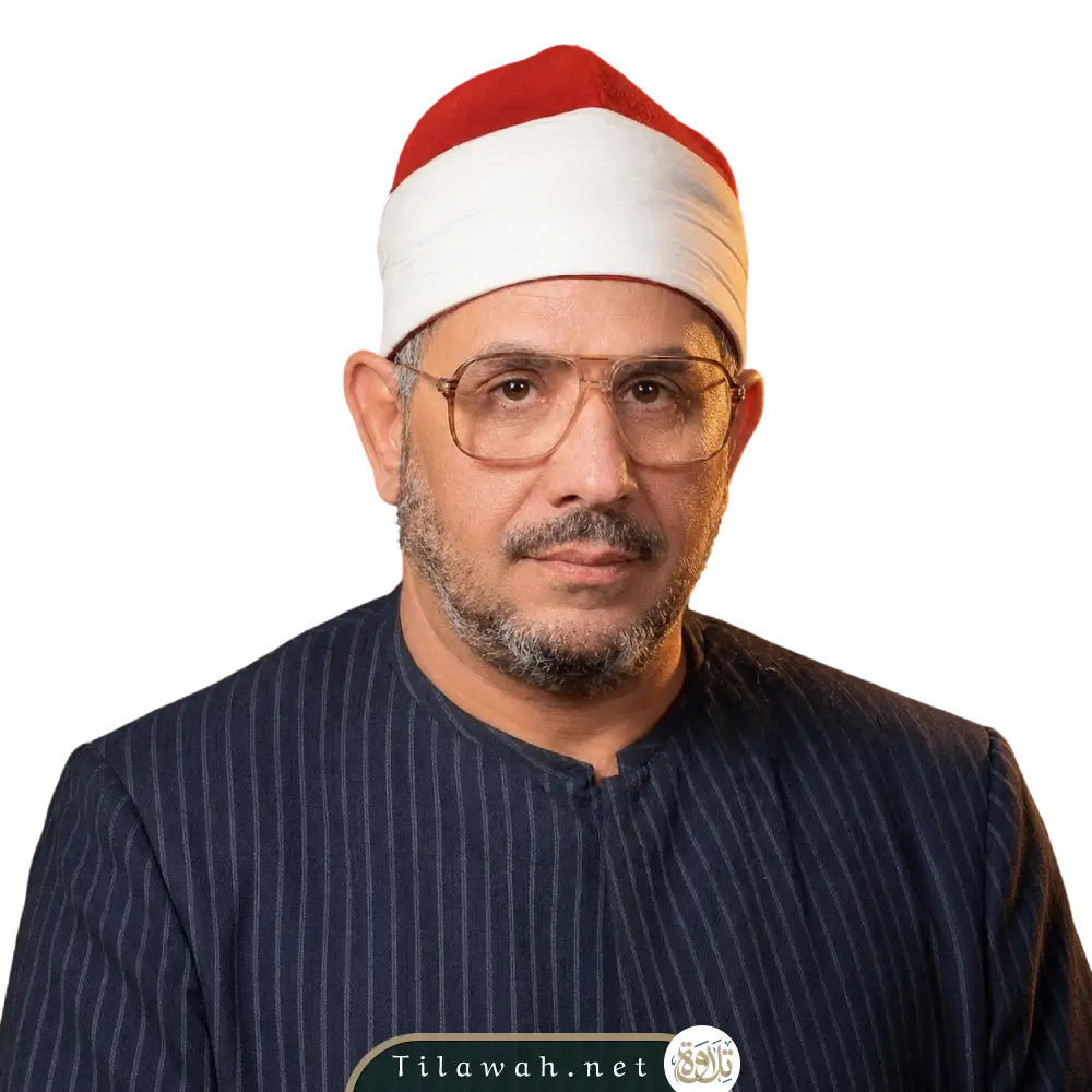 الشحات محمد أنور