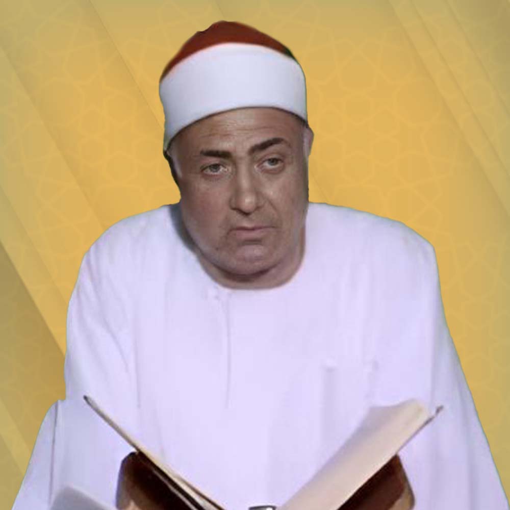 محمد محمود عوض