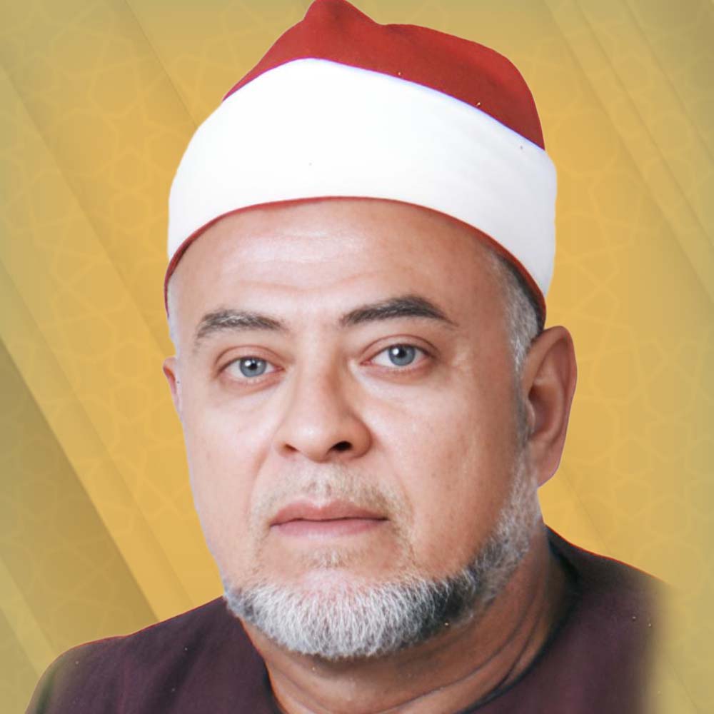 محمود هاشم عيسى