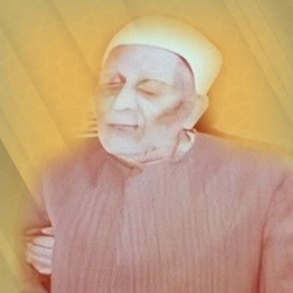 عوف الزواوي