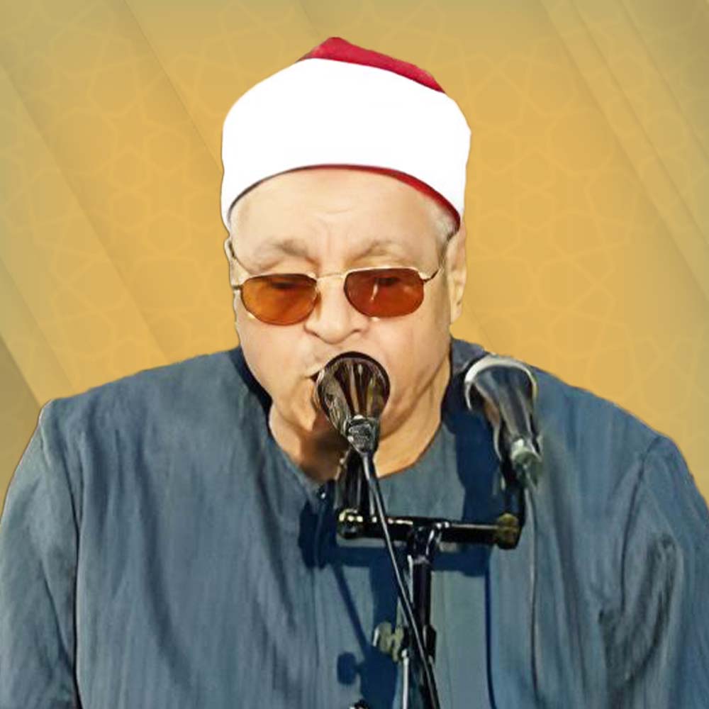 محمود محمد سليمان