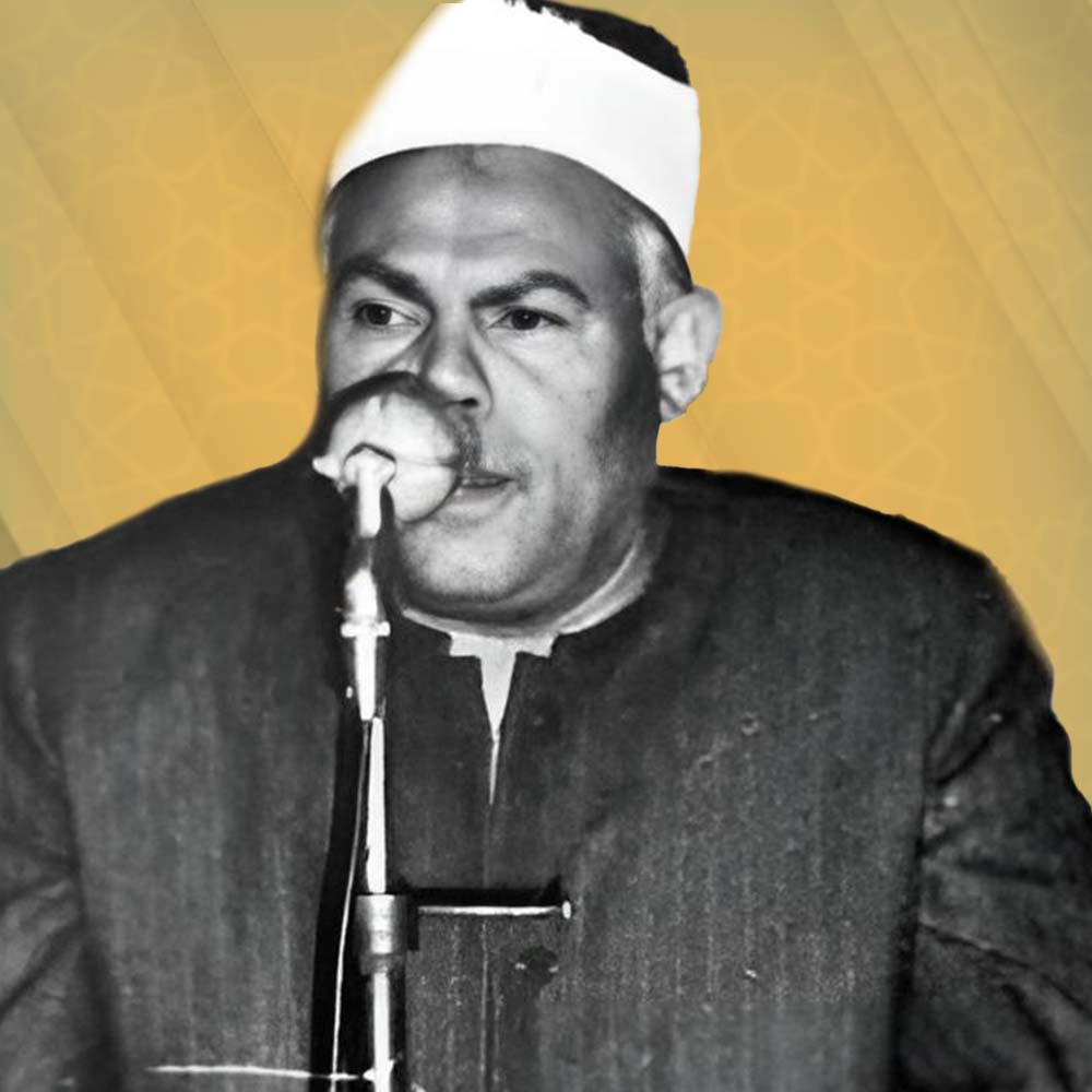 محمد عبدالحليم سلامة