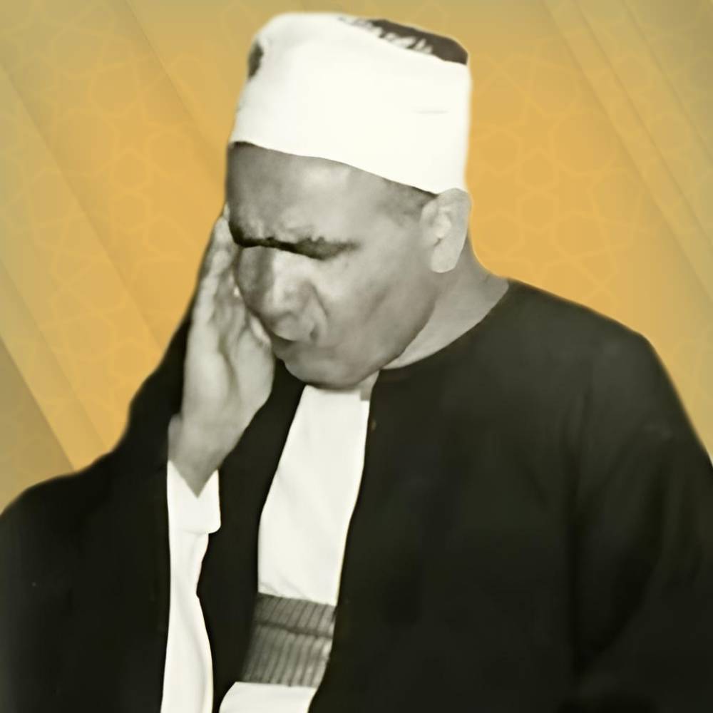 محمد عكاشة
