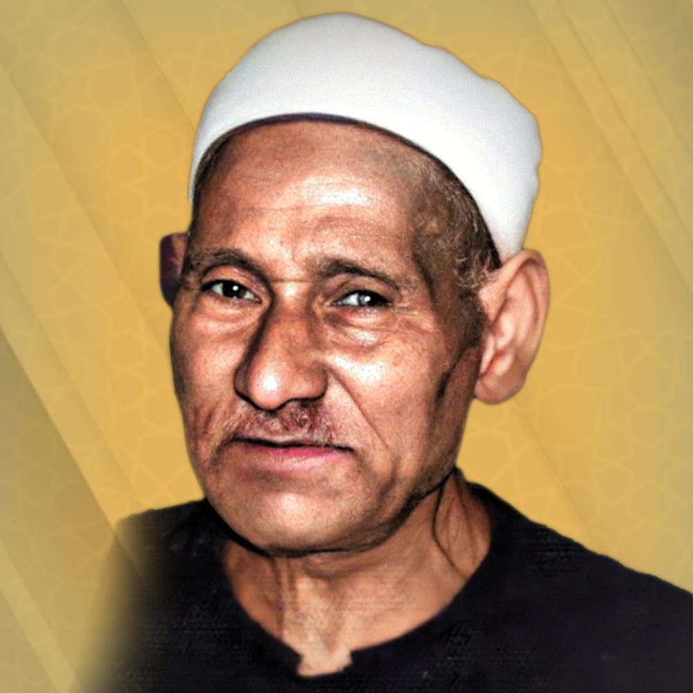 محمد سلامة
