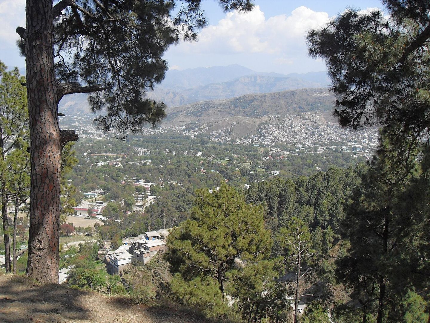 Abbottabad spread across its valley, framed by pine trees