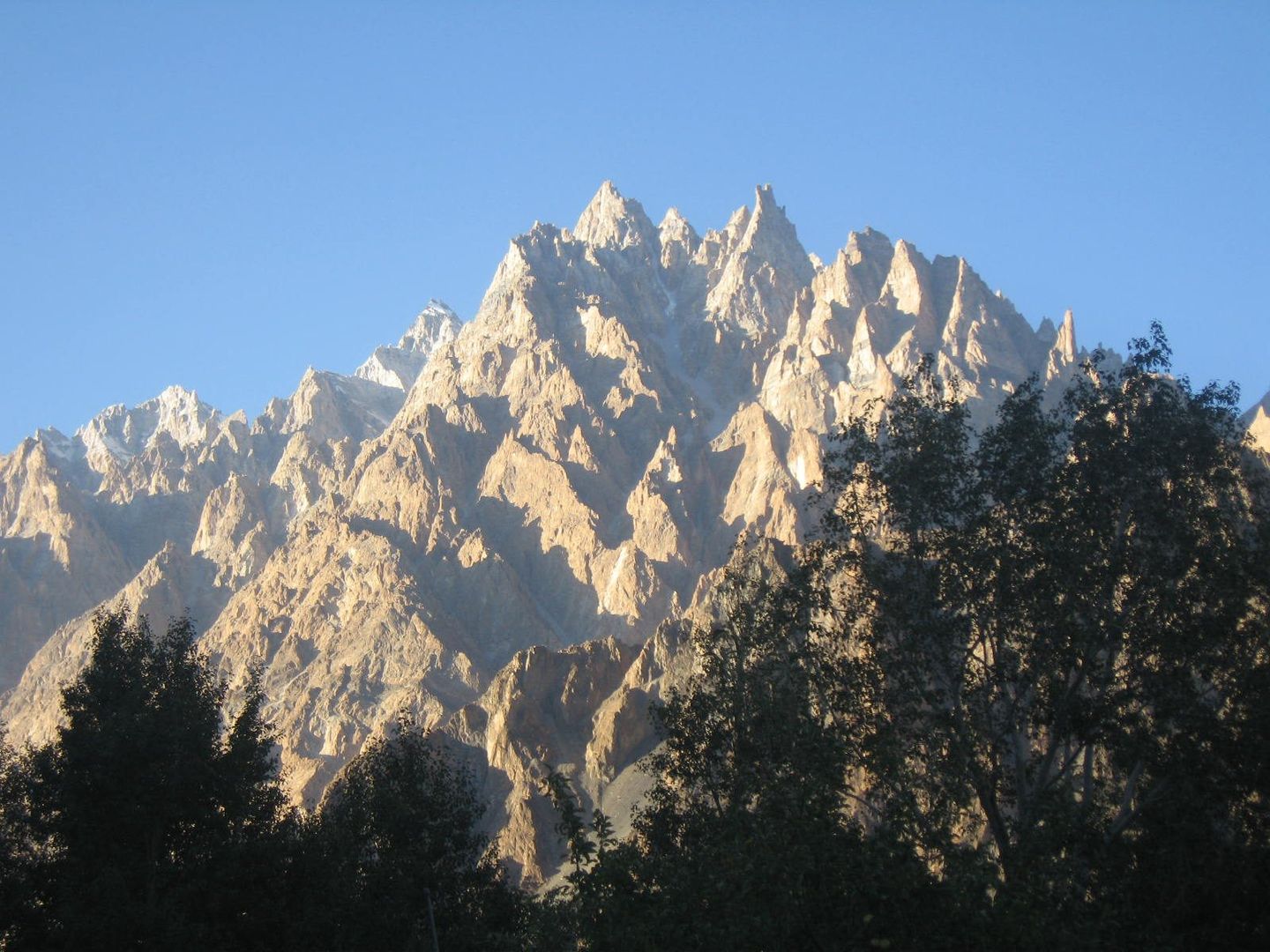 The jagged Passu Cones in evening sun above poplar trees
