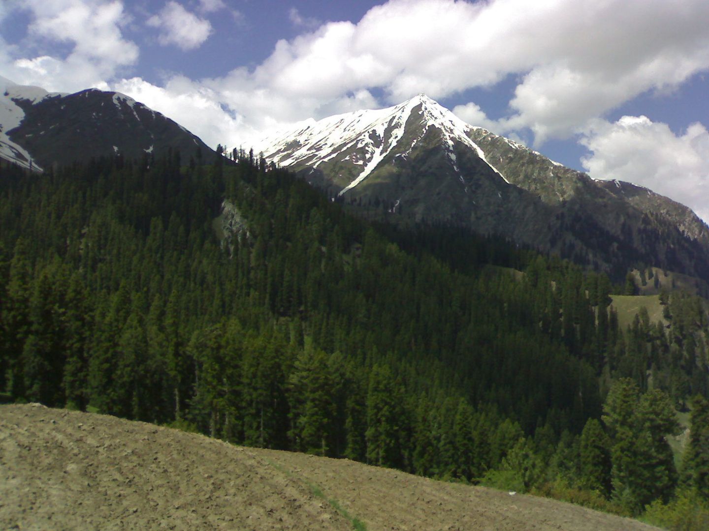 A snow-capped peak above pine-covered slopes in the Kaghan Valley