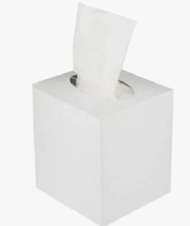 Facial Boutique/Cube Plain White Tissue 80 Sheets x 2 Ply (1 Ctn x 48 Boxes)