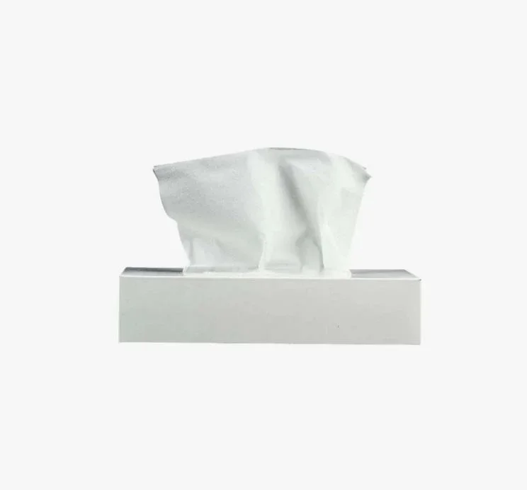 Facial Tissue Plain White Box 80 Sheets x 2 Ply (1 Ctn x 48 Boxes)
