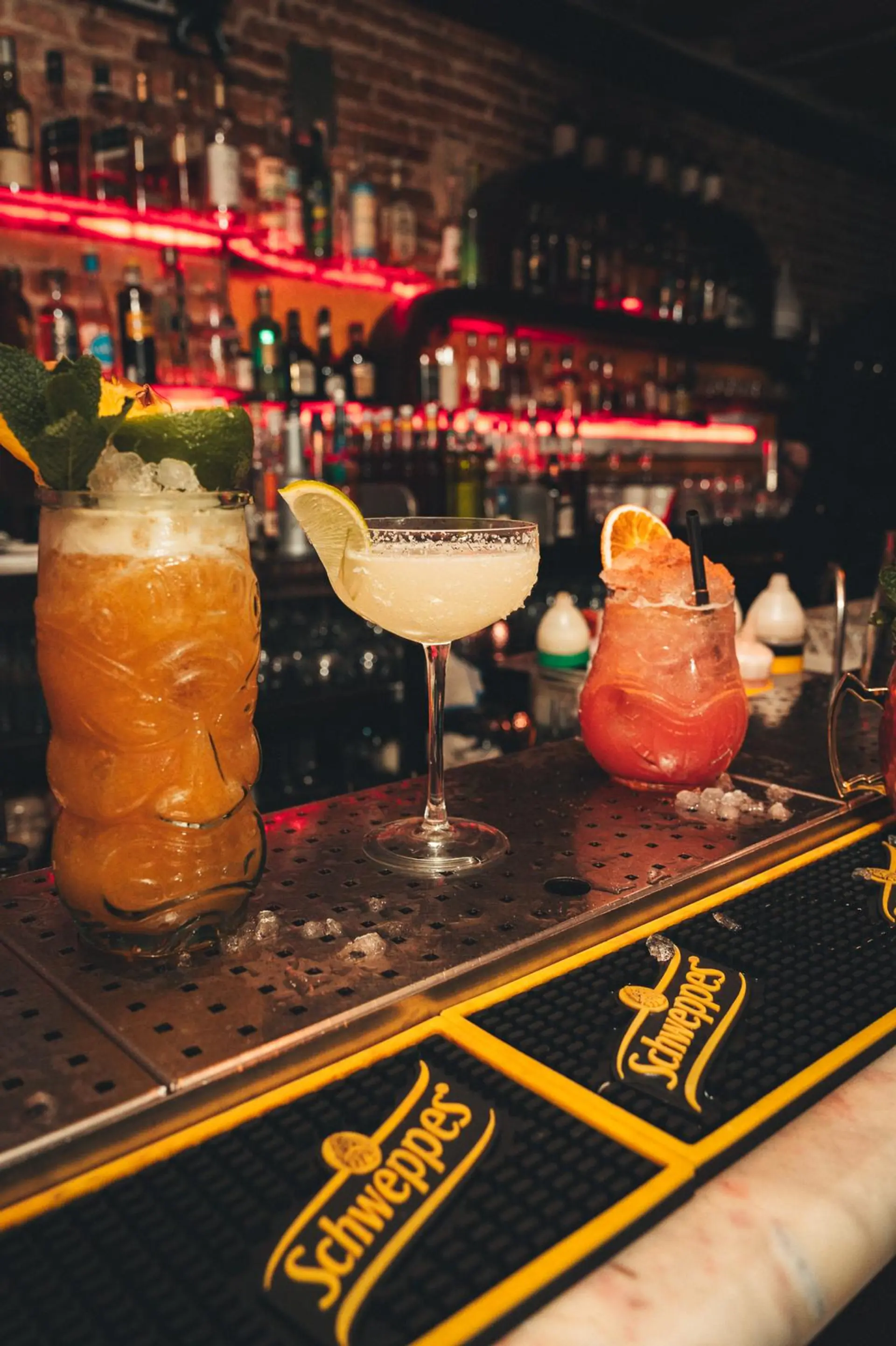 Un Brindis para Conocerte