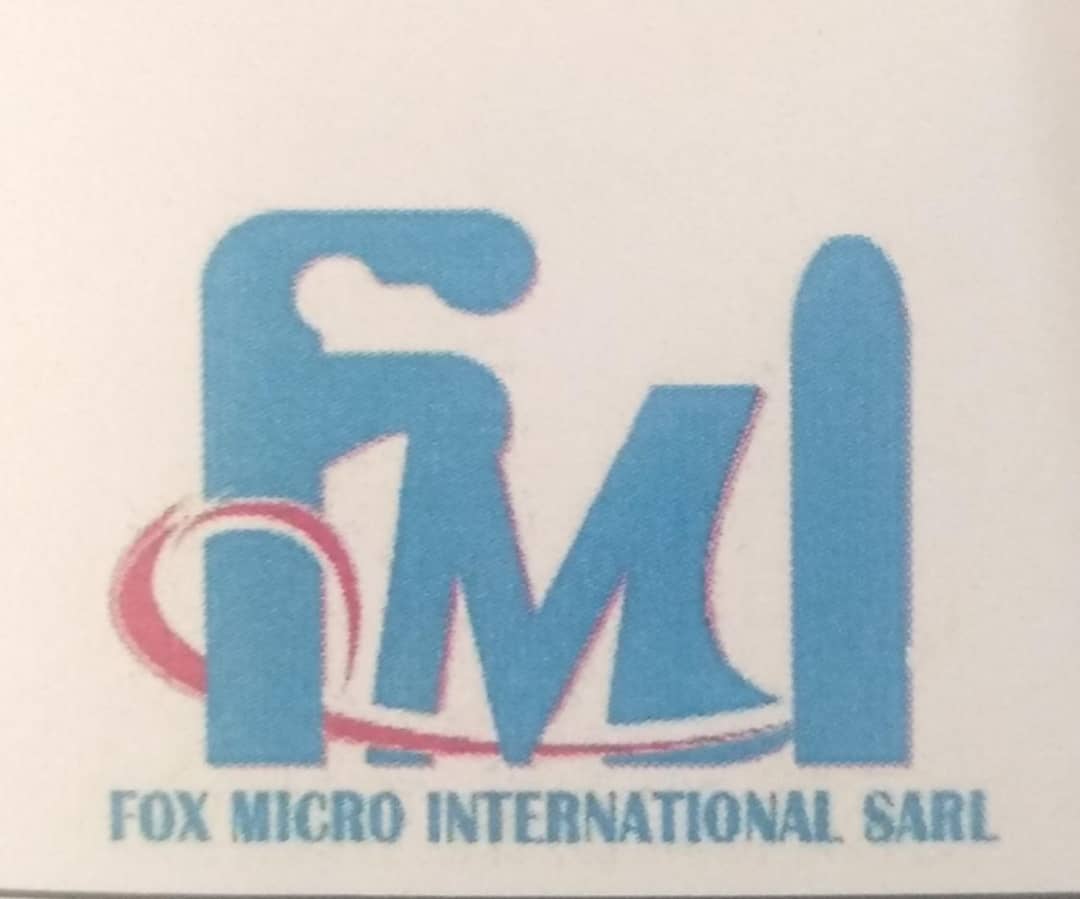 FOX MICRO INTERNATIONAL