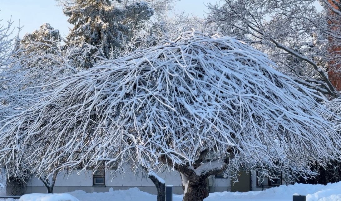 Finland Shivers as Temperatures Plunge to Winter’s Lowest Levels