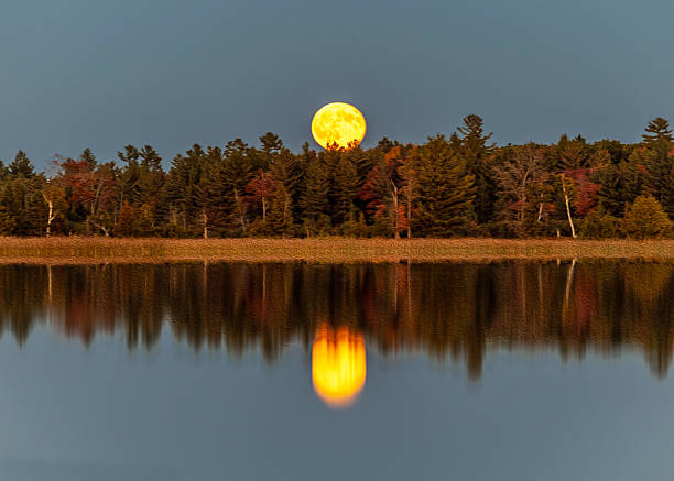 Harvest Moon 2026: How and When to See This Year's Special Full Moon