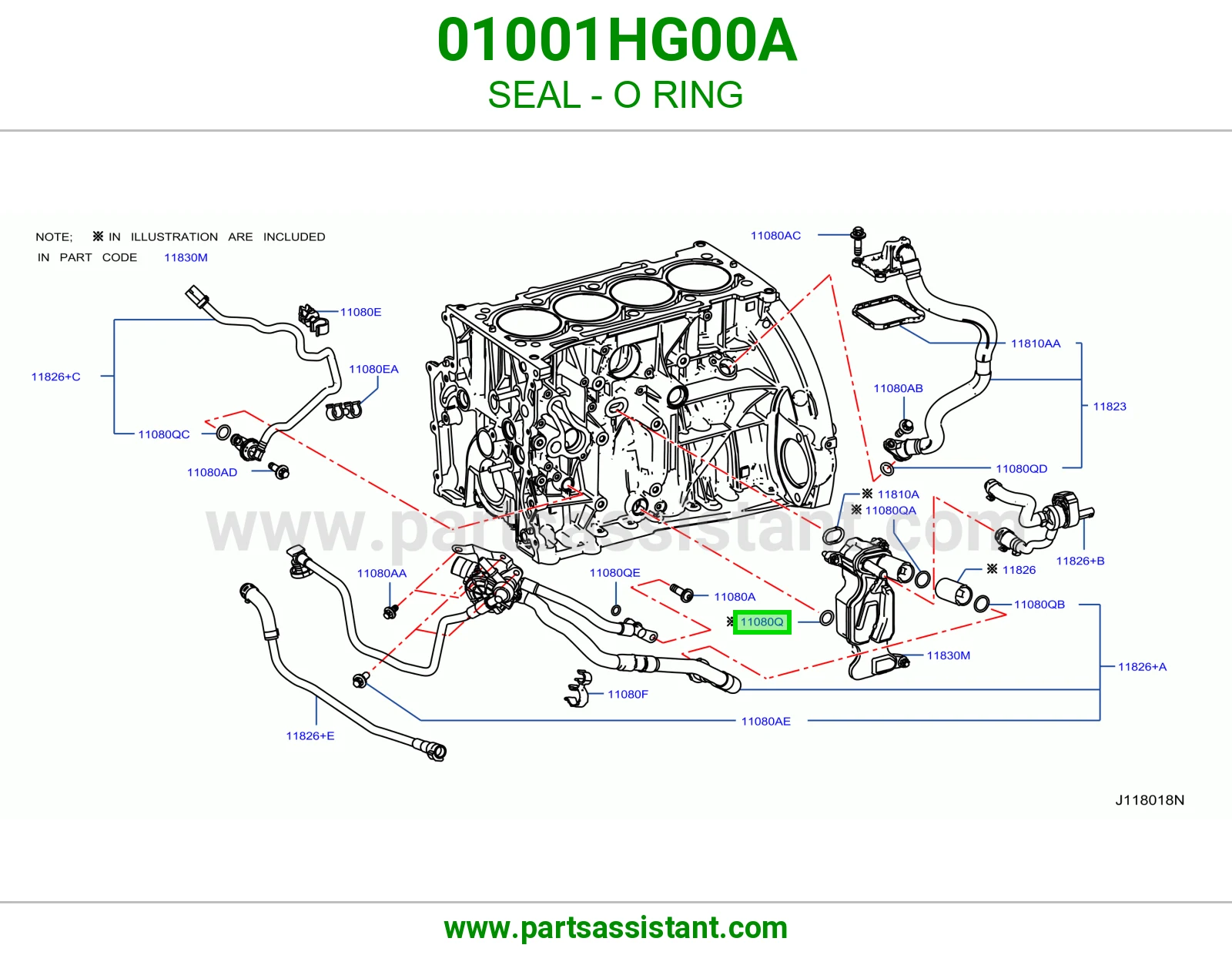 جلدة أورنق 01001HG00A