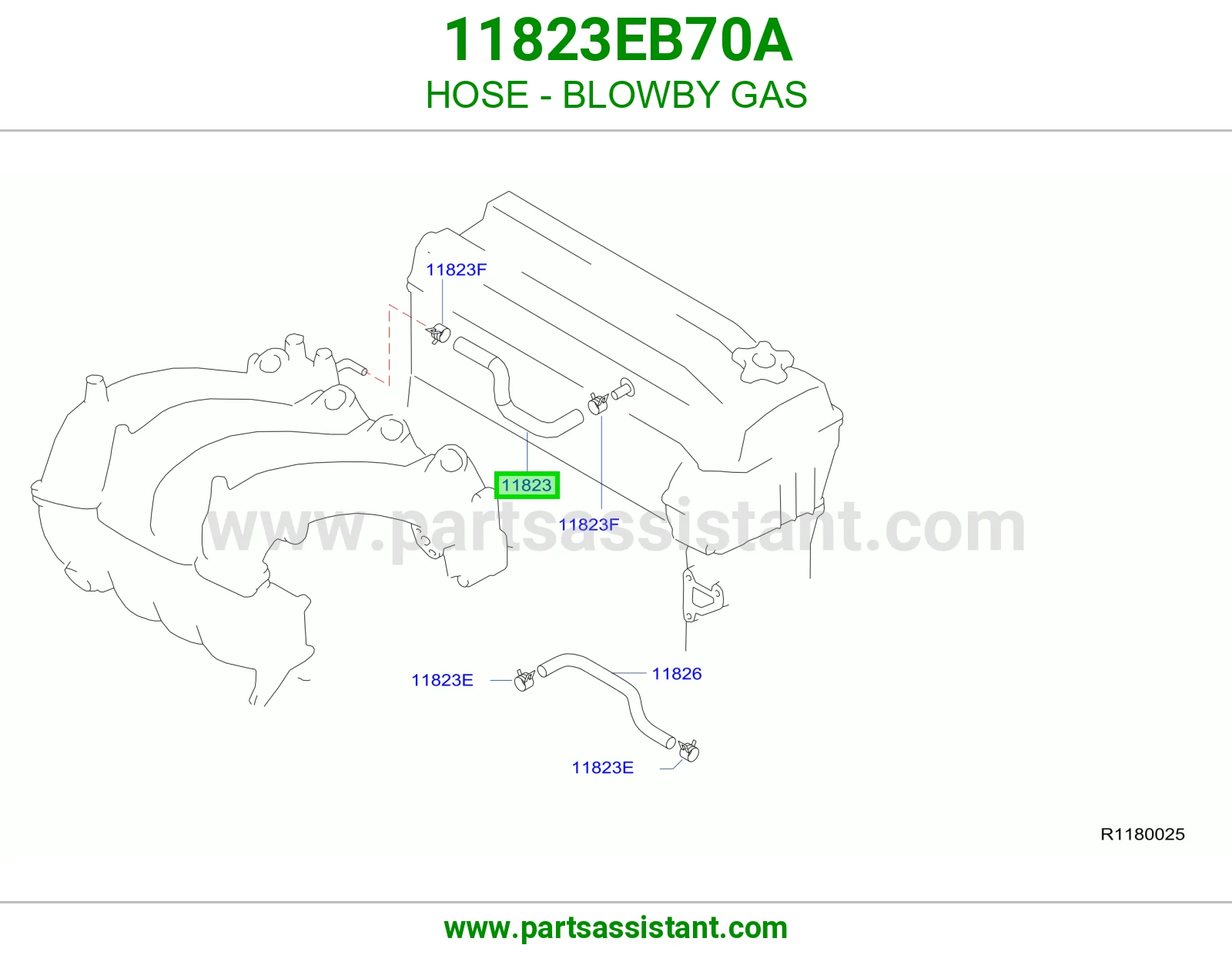 لي بخار غطا بلوف 11823EB70A