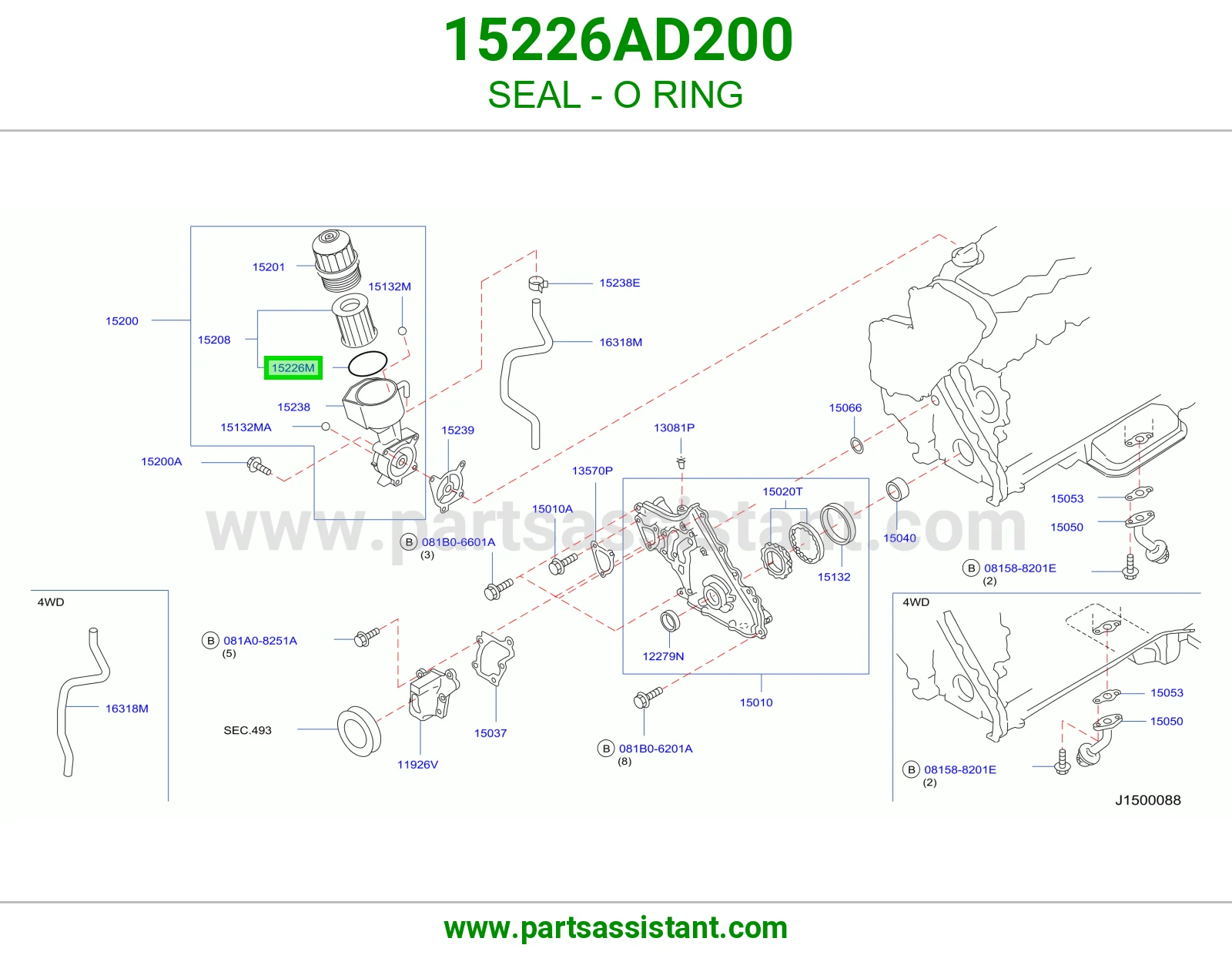 جلدة أورنق 15226AD200