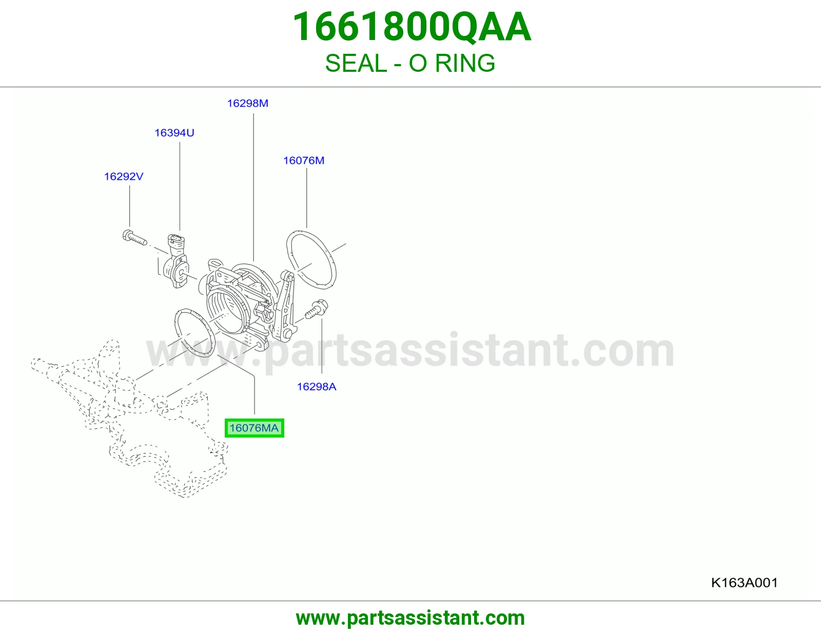 جلدة أورنق 1661800QAA