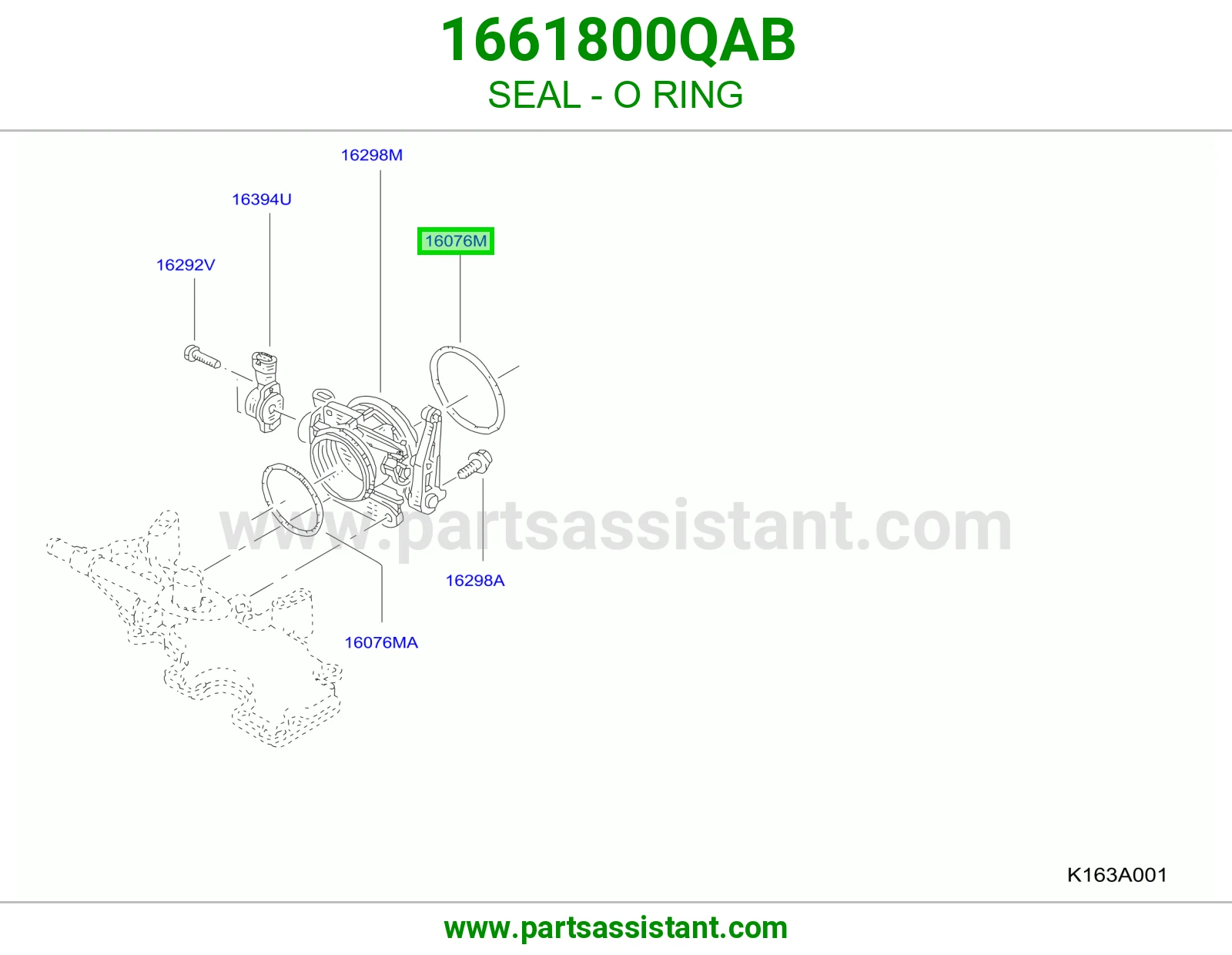جلدة أورنق 1661800QAB