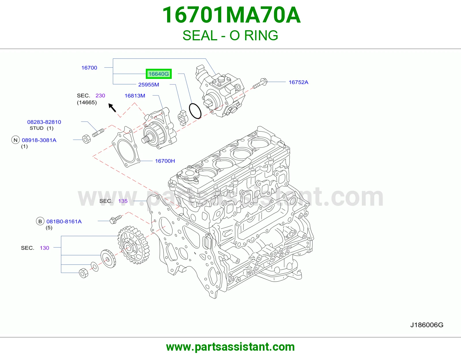 جلدة أورنق 16701MA70A