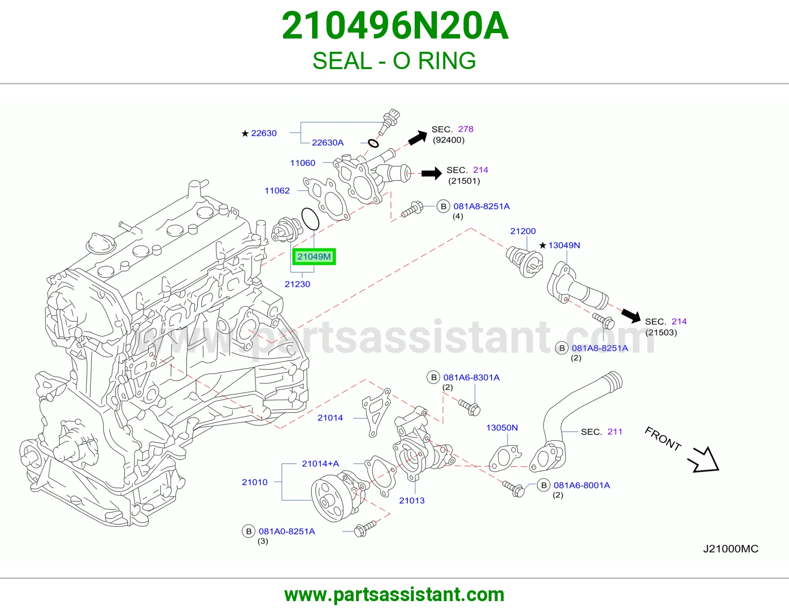 جلدة أورنق 210496N20A