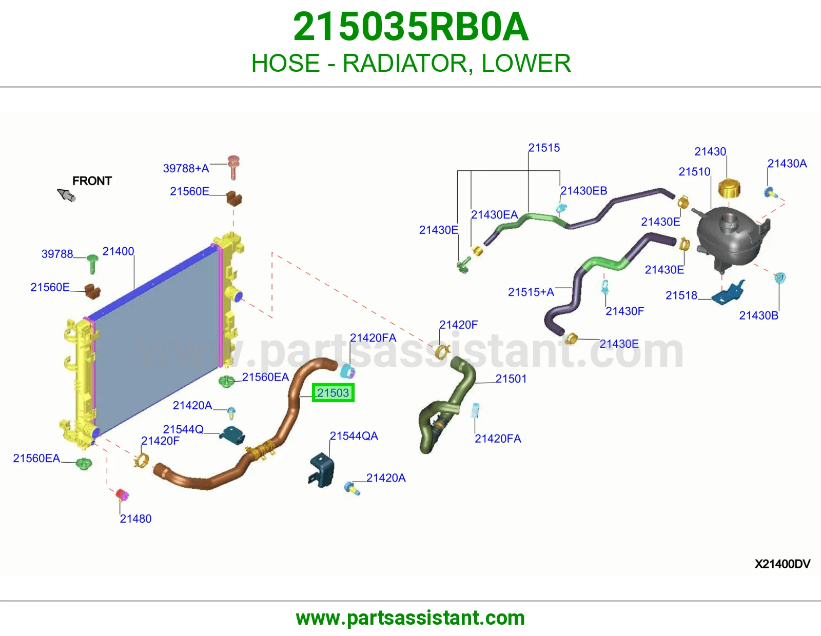 لي خرطوش رديتر ماء تحت 215035RB0A